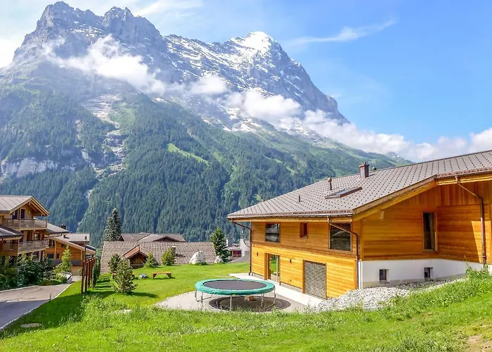 Butz By Interhome * Grindelwald